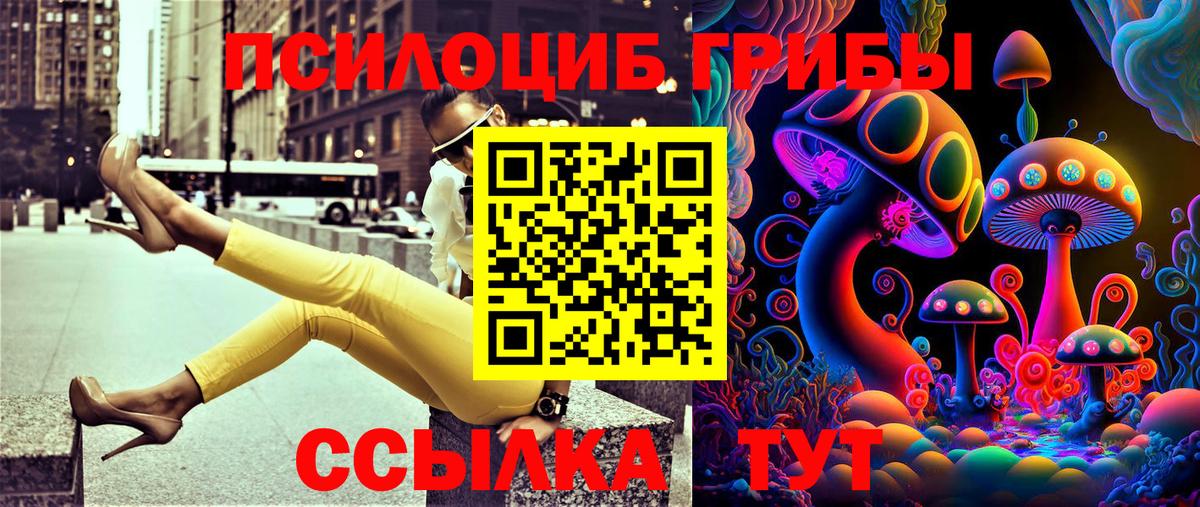 где найти наркотики  Вход с VPN  Балашов  Псилоцибиновые грибы Cubensis 