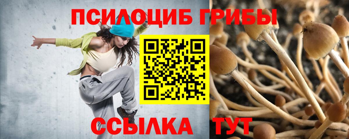 Галлюциногенные грибы GOLDEN TEACHER Балашов